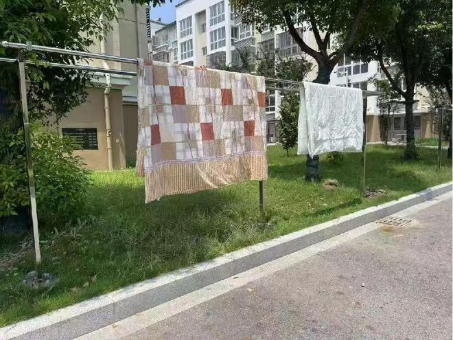 征这个小区实现“晾晒自由”凯发一触即发居民点赞！仪(图1)